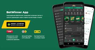 All About BetWinner A Comprehensive Guide to Online Betting