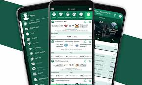 All About BetWinner A Comprehensive Guide to Online Betting