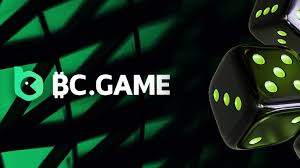 BC.Game Poland Login Process Explained