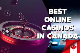 What is the Best Online Experience Exploring Options for Every Interest