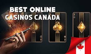 What is the Best Online Experience Exploring Options for Every Interest