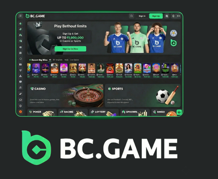 Streamlined Login Process for BC.Game A Comprehensive Guide